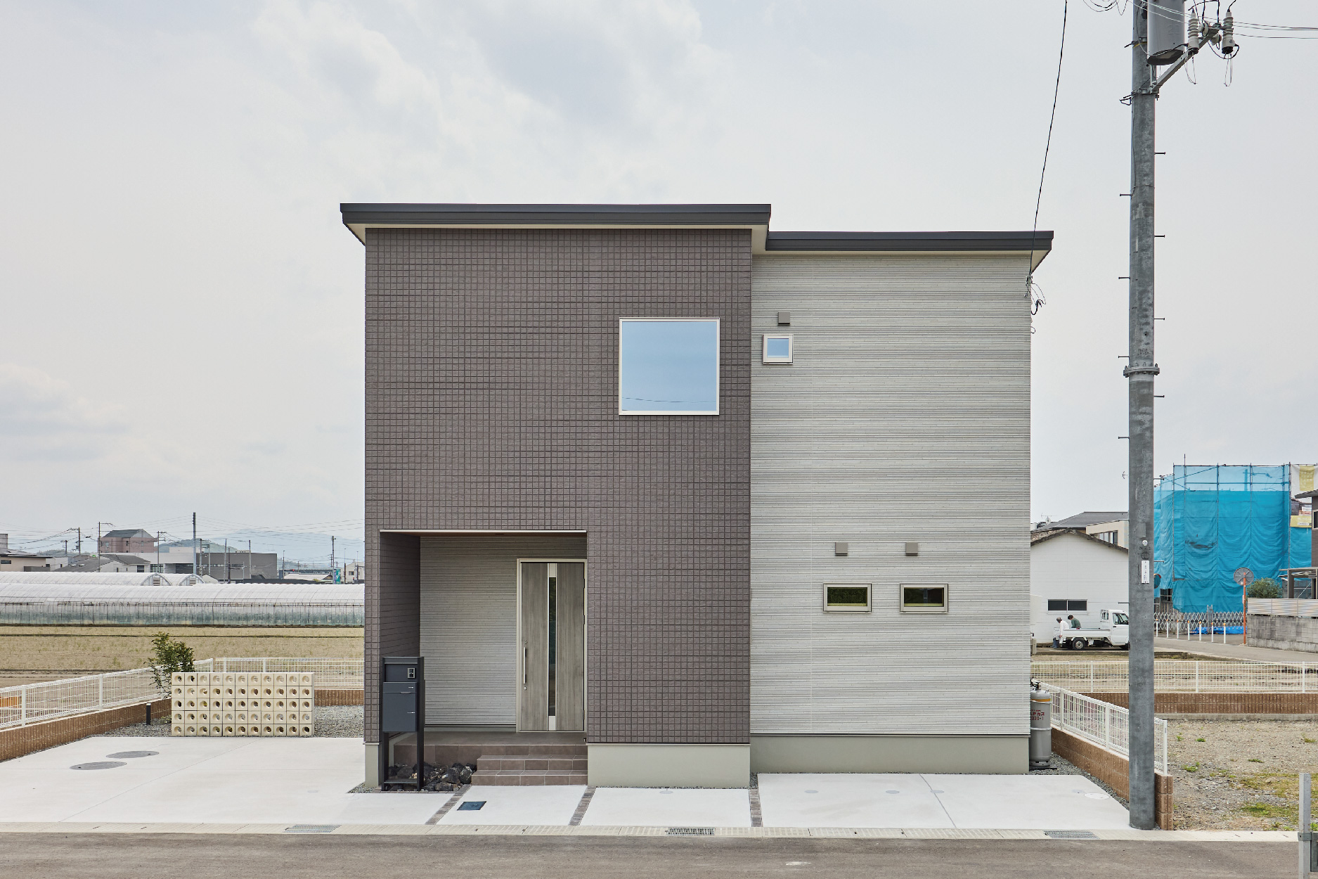 5号地