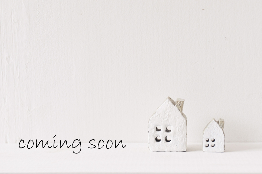 ジョーブタウン堀止東