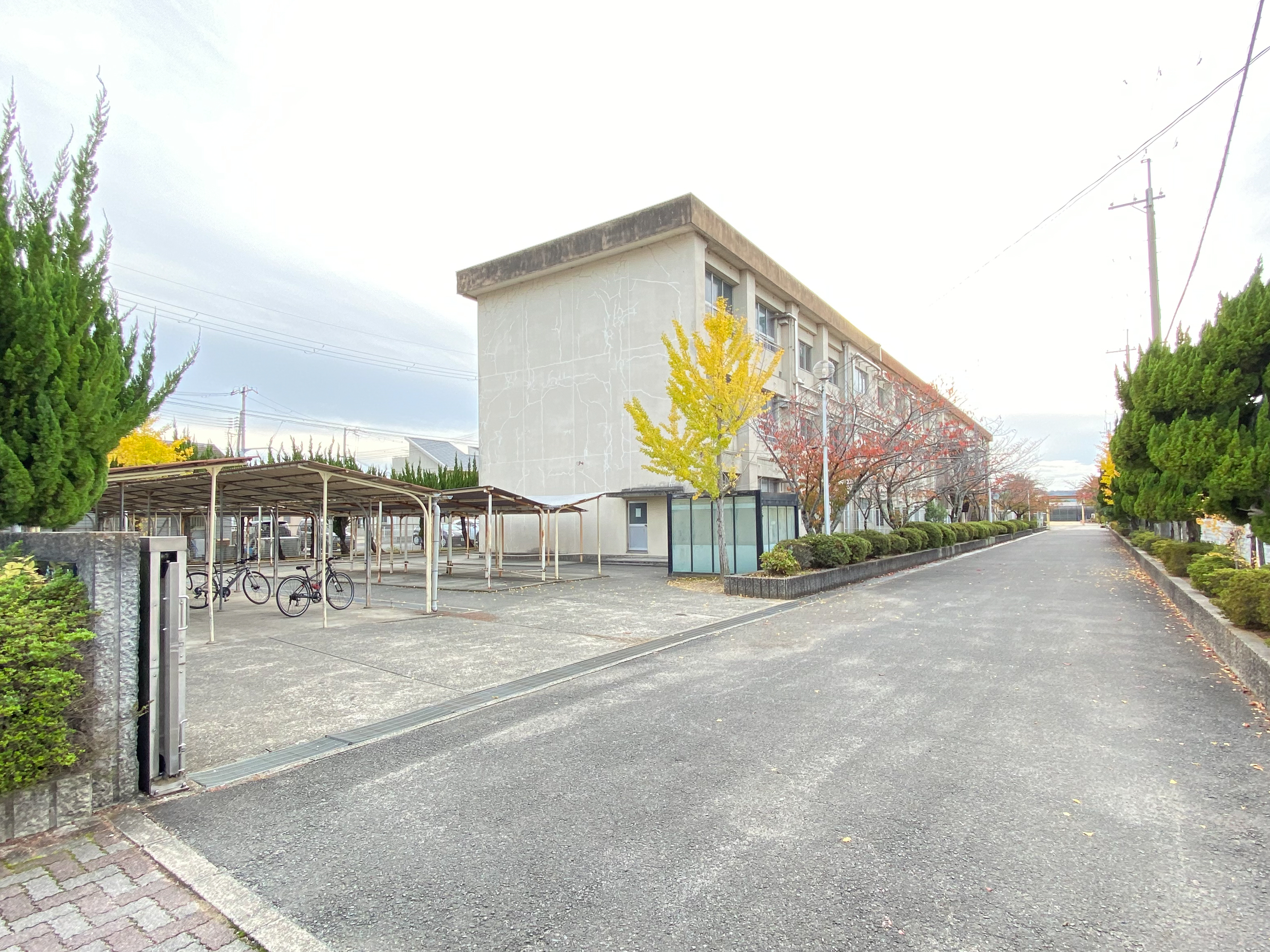 ジョーブタウン井辺Ⅲ