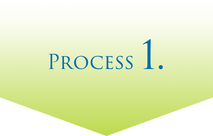 PROCESS1.