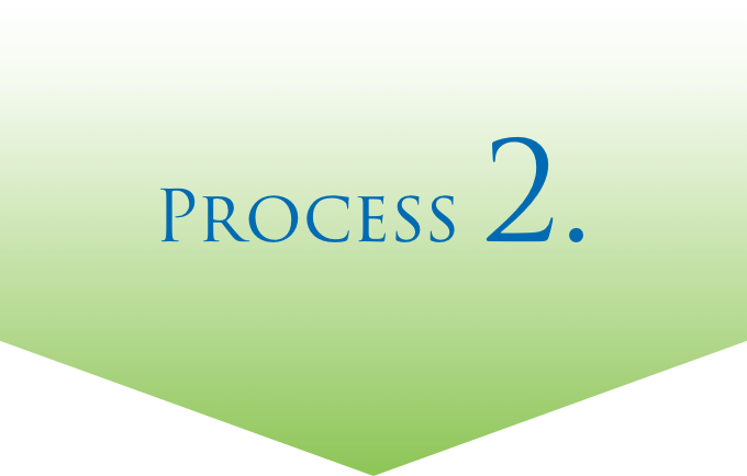 PROCESS2.