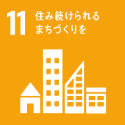 SDGs11