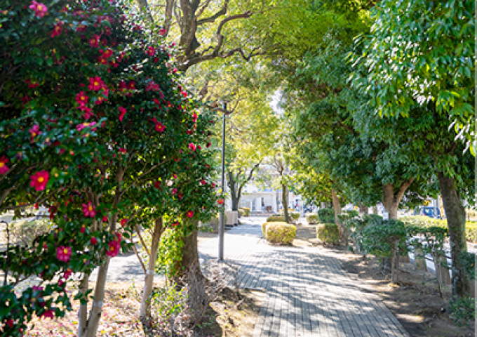 朝霞中央公園 （徒歩7分／約550m）