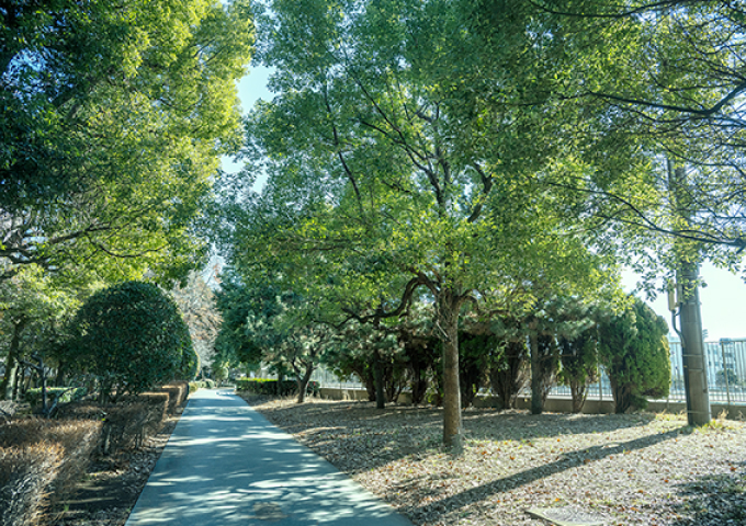 朝霞中央公園 （徒歩7分／約550m）
