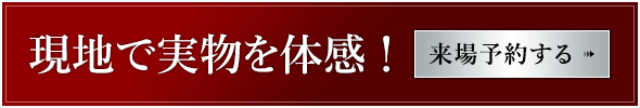 現地で実物を体感！