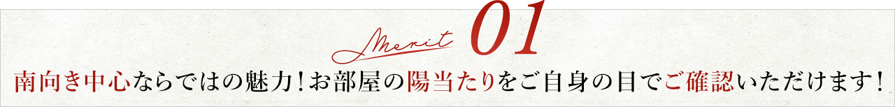Merit